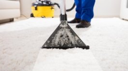 festival yerinde halı yıkama