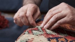 festivalhalıyıkama