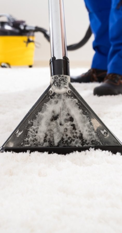 festival yerinde halı yıkama